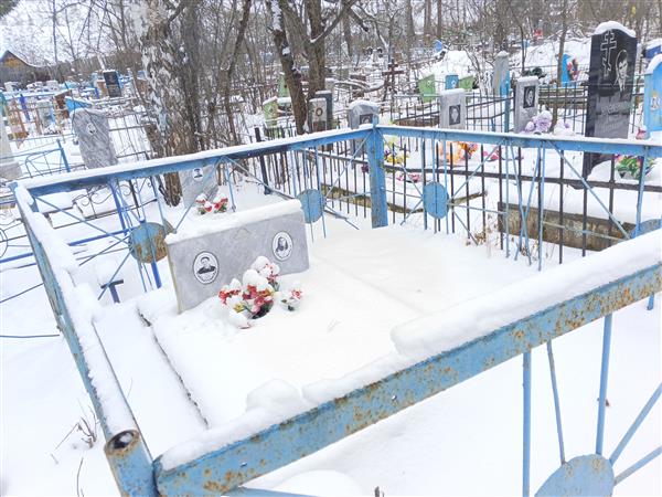 Васина Анна Павловна