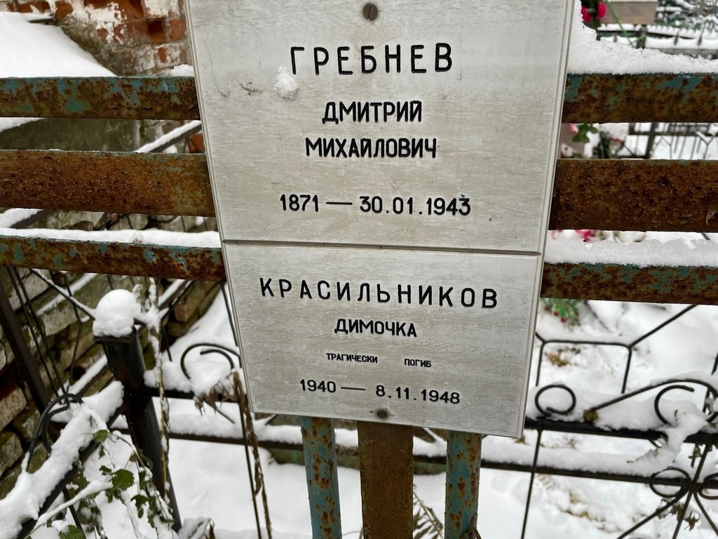 Гребнев Дмитрий Михайлович