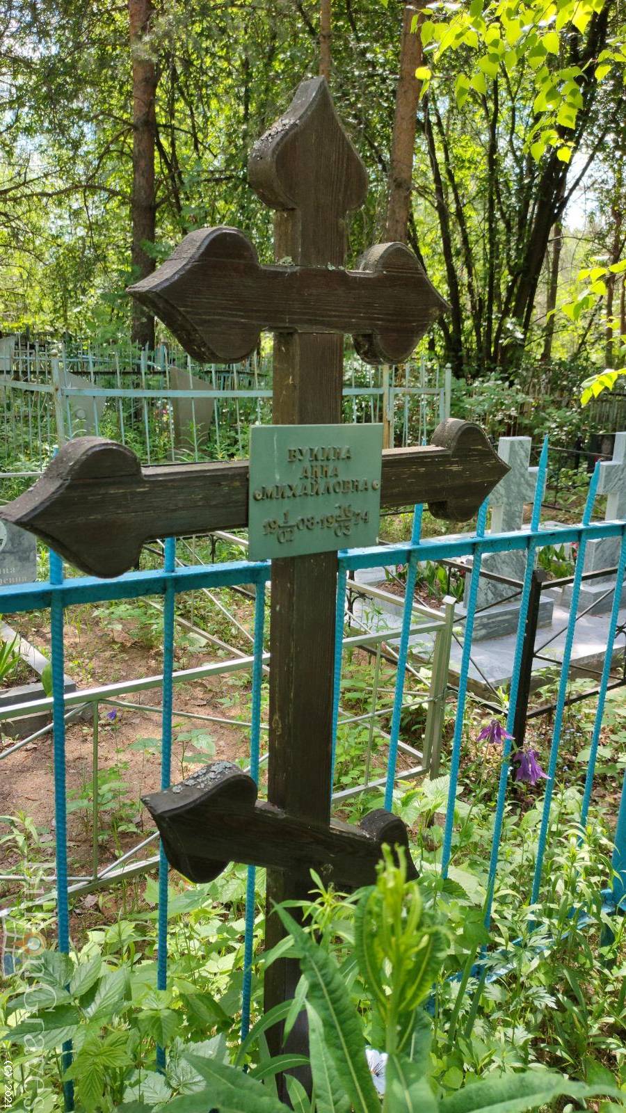 Вукина Анна Михайловна