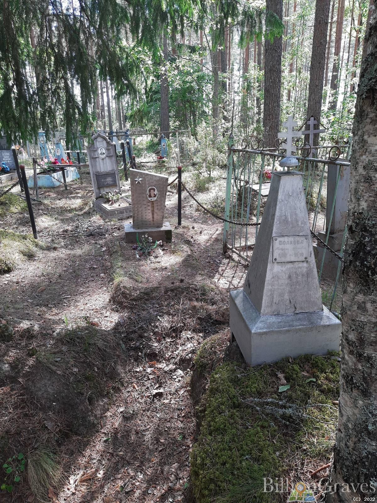 Волков Василий Дмитриевич