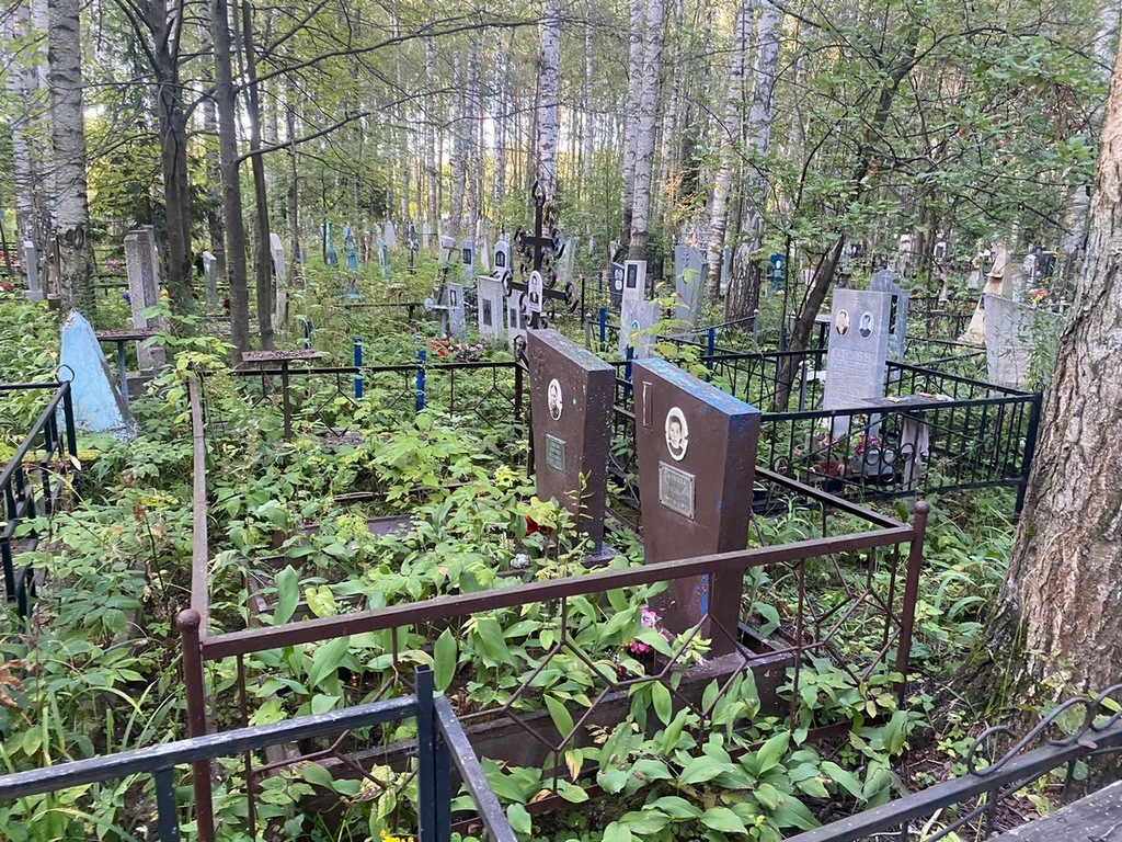 Локтева Анастасия Васильевна