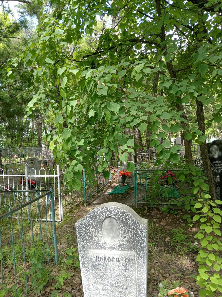 Колосова Любовь Александровна