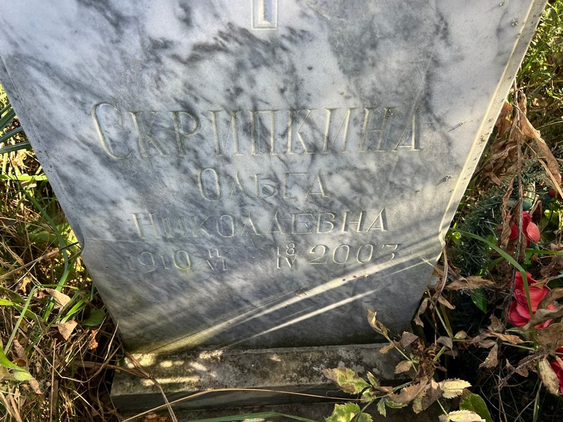 Скрипкина