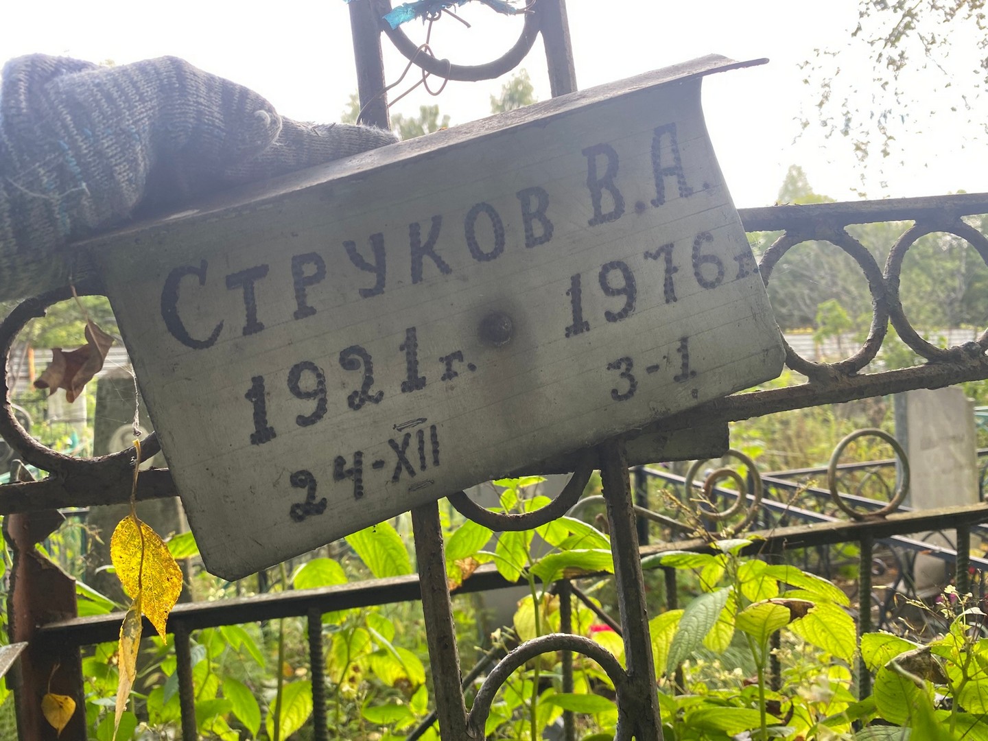 В Струков А