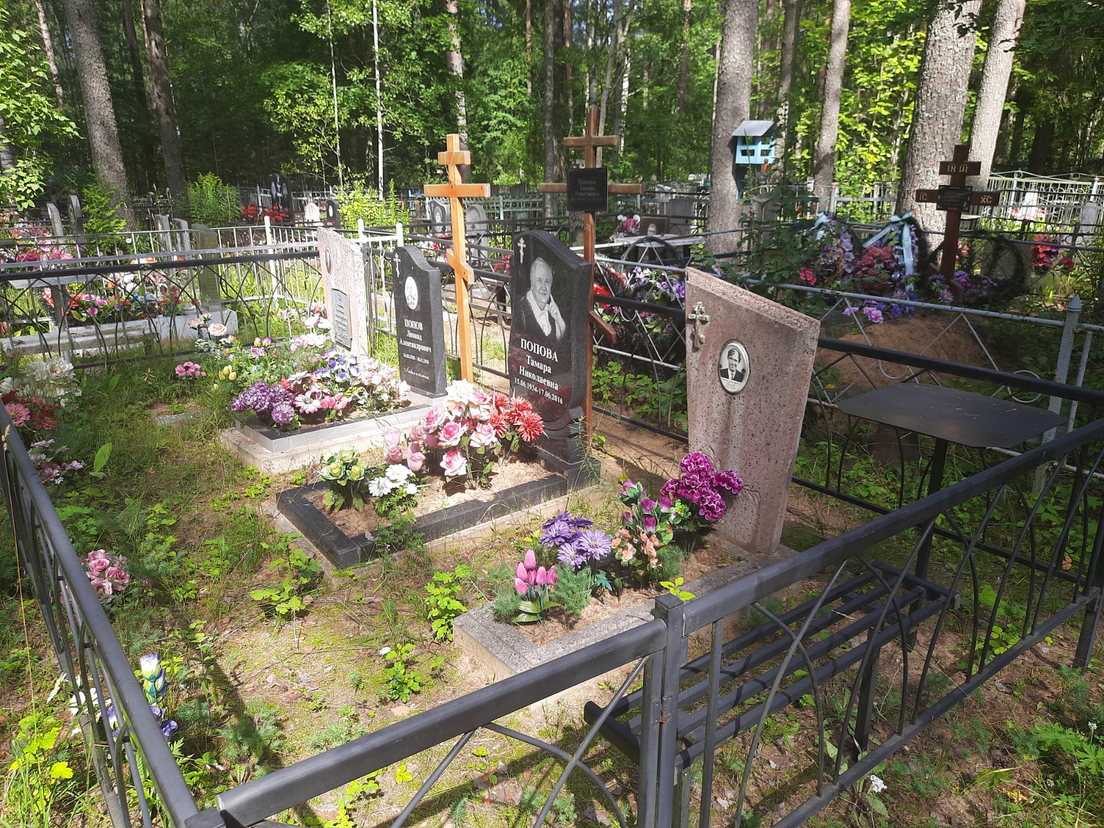 Попова Тамара Николаевна