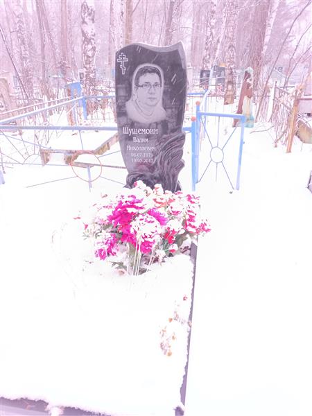 Шушемоин Вадим Николаевич