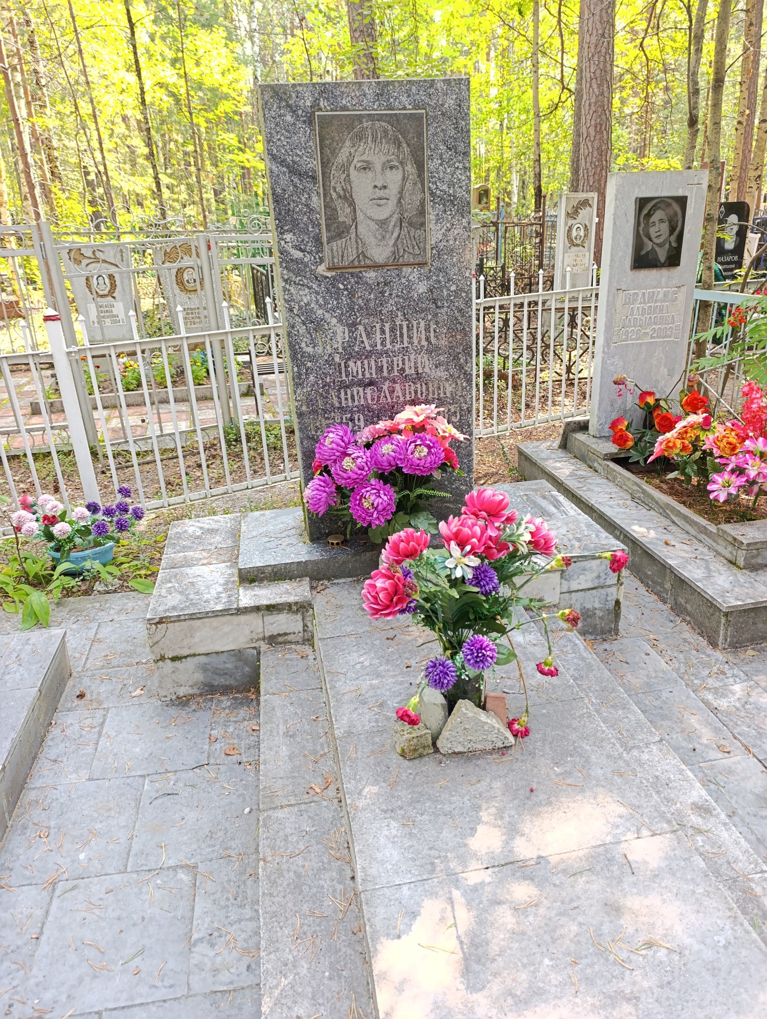 Брандис Дмитрий Станиславович