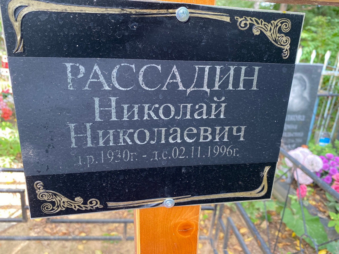 Рассадин