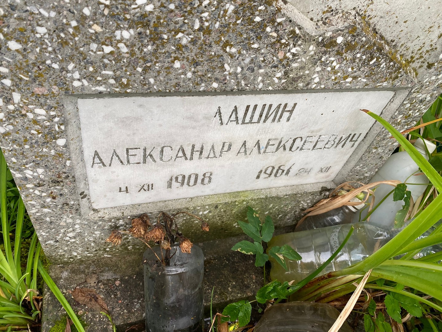 Лашин