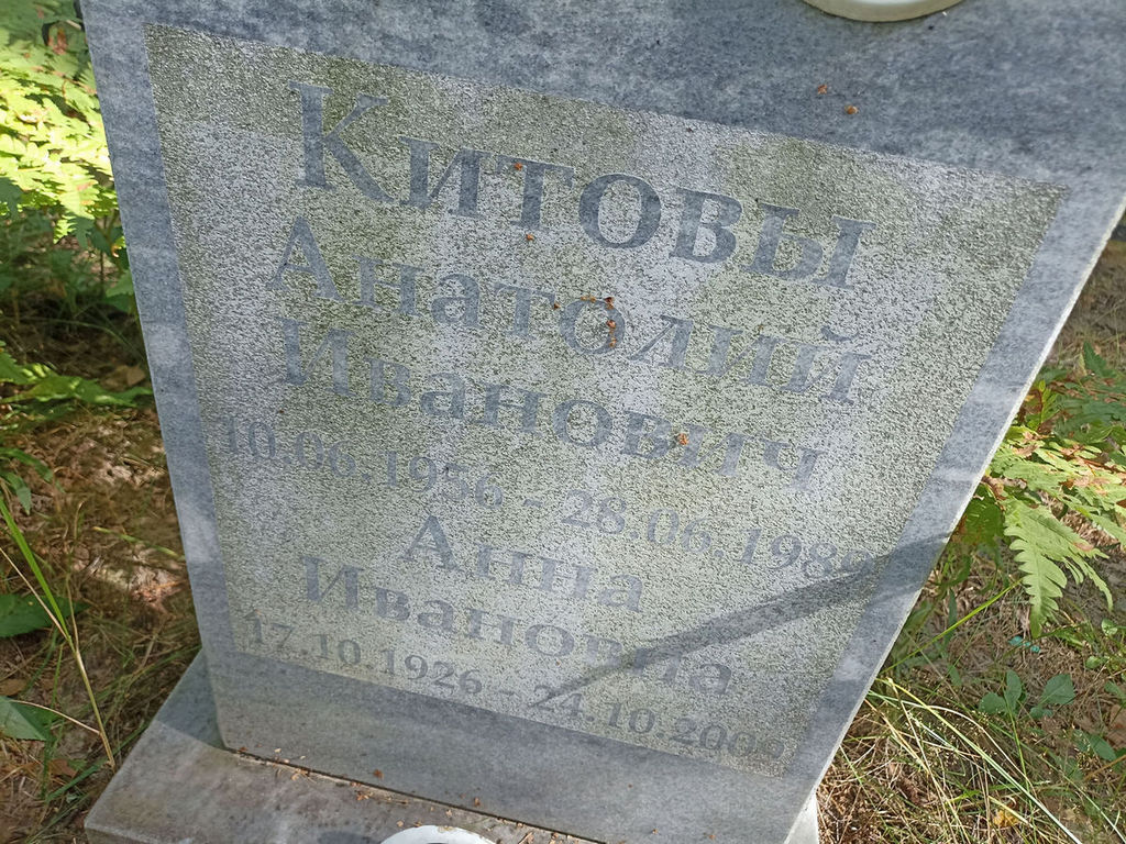 Китов Анатолий Иванович