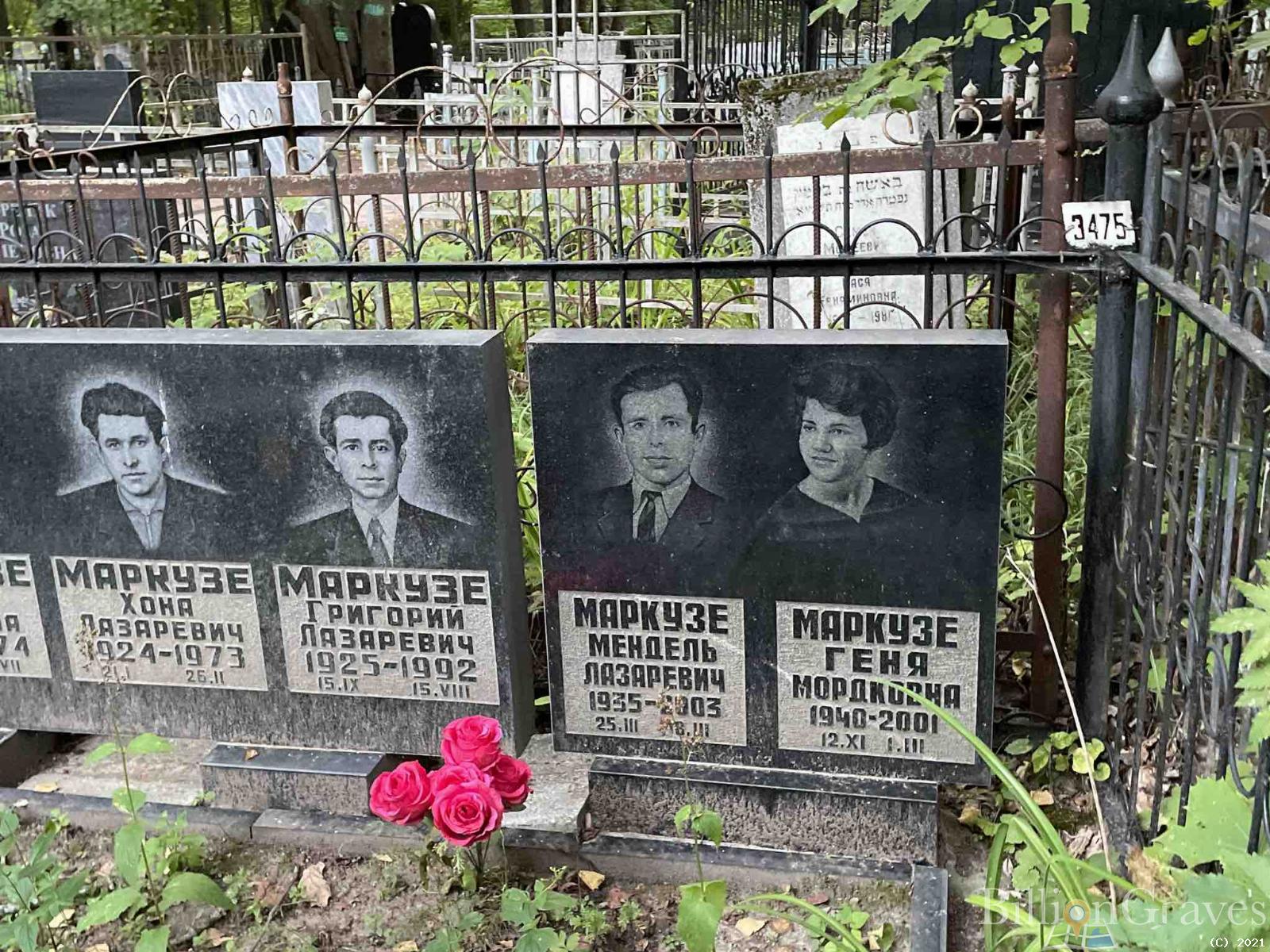 Маркузе Геня Мордковна