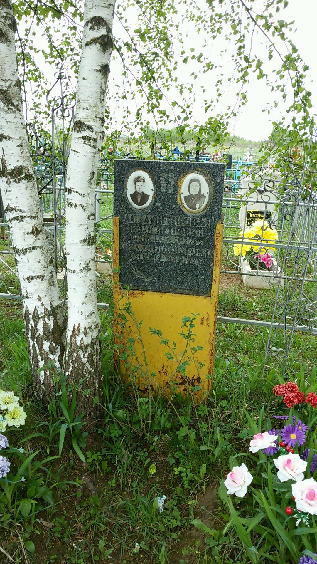 Асташенкова Анна Александровна