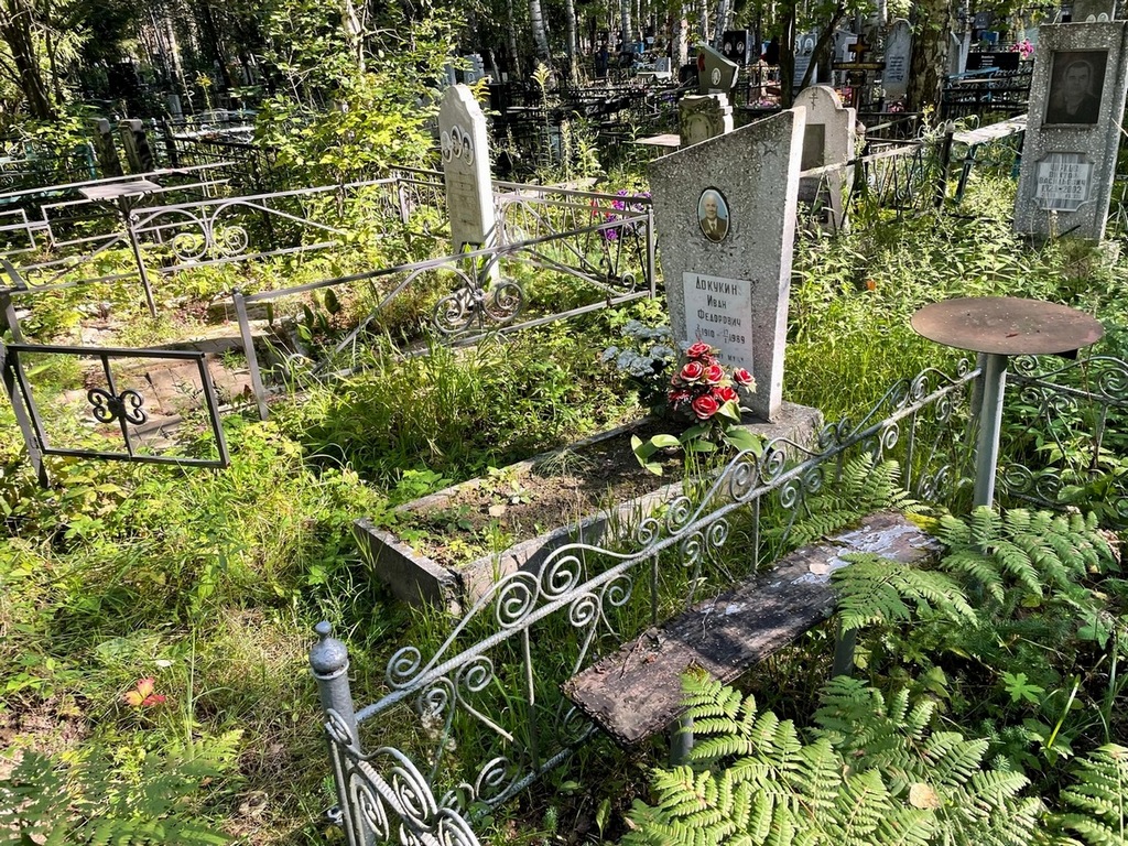 Докукин Иван Федорович