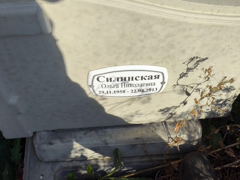 Силинская