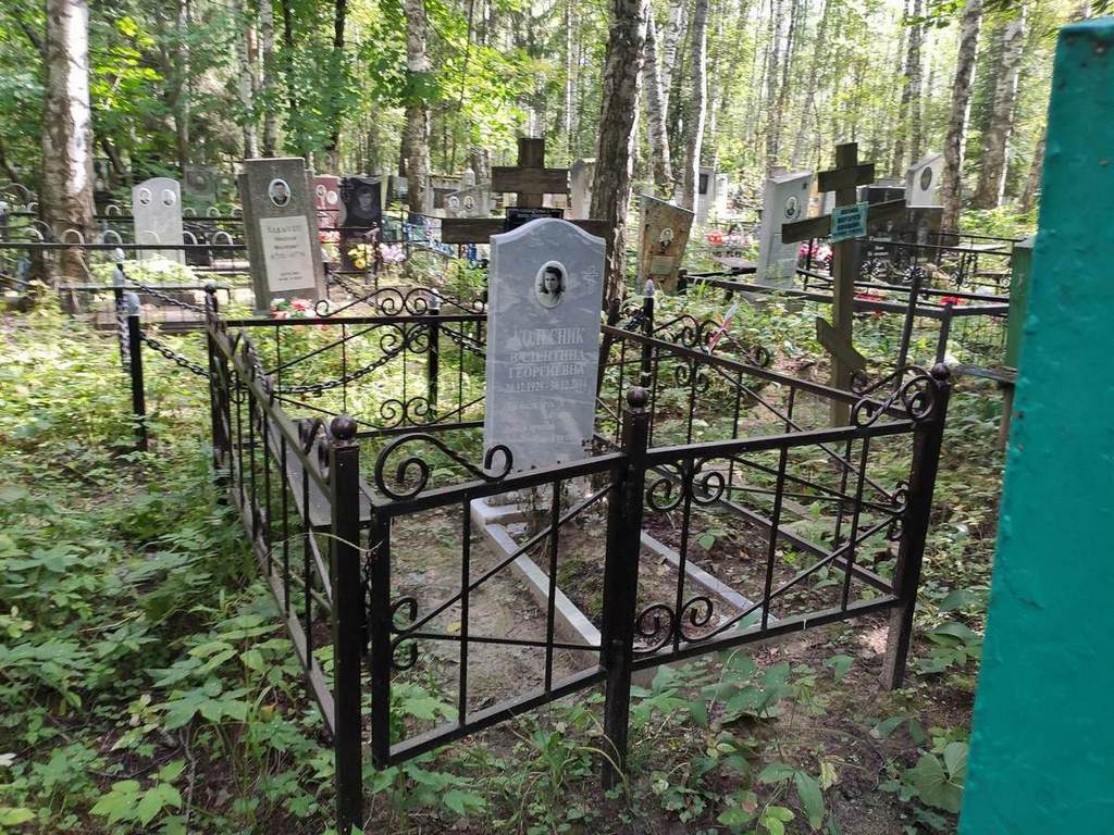 Колесник Валентина Георгиевна