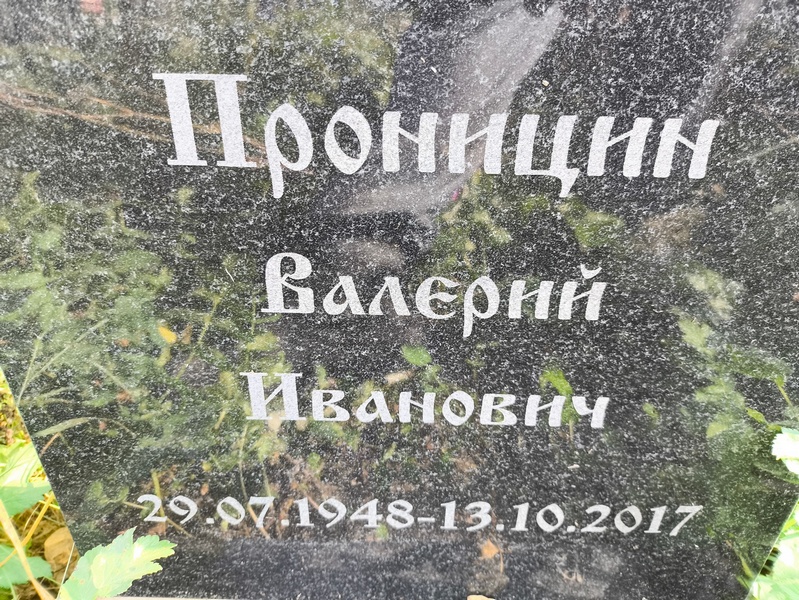 Проницинин