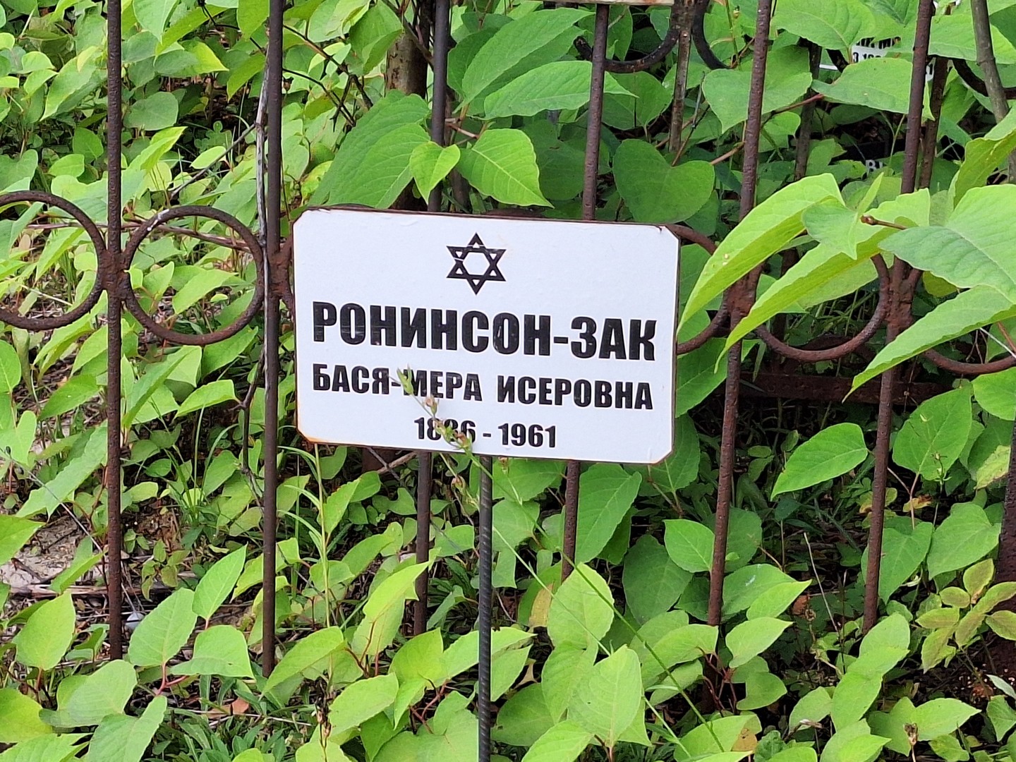 Бася-Мера Ронинсон-Зак Исеровна
