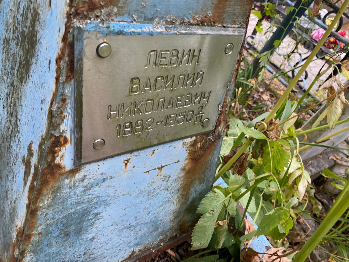 Левин