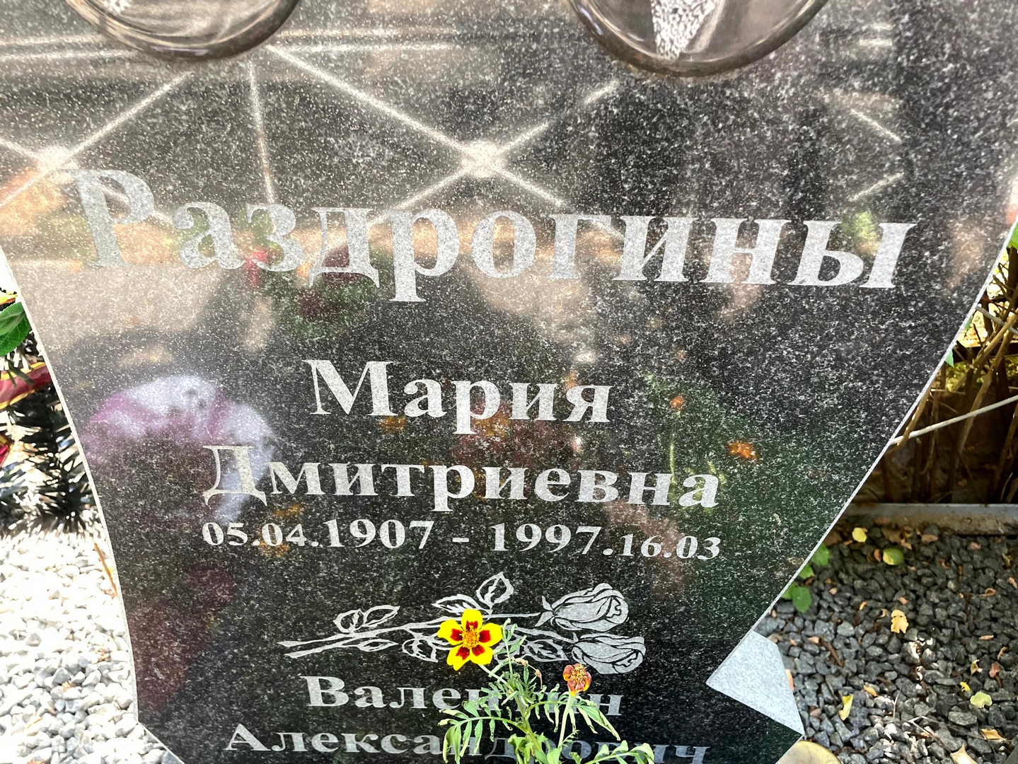 Раздрогина
