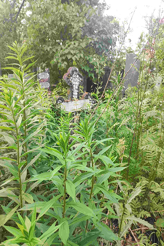 Петров Виктор Сергеевич