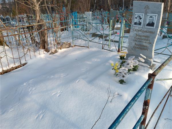 Серебряков Владимир Семёнович