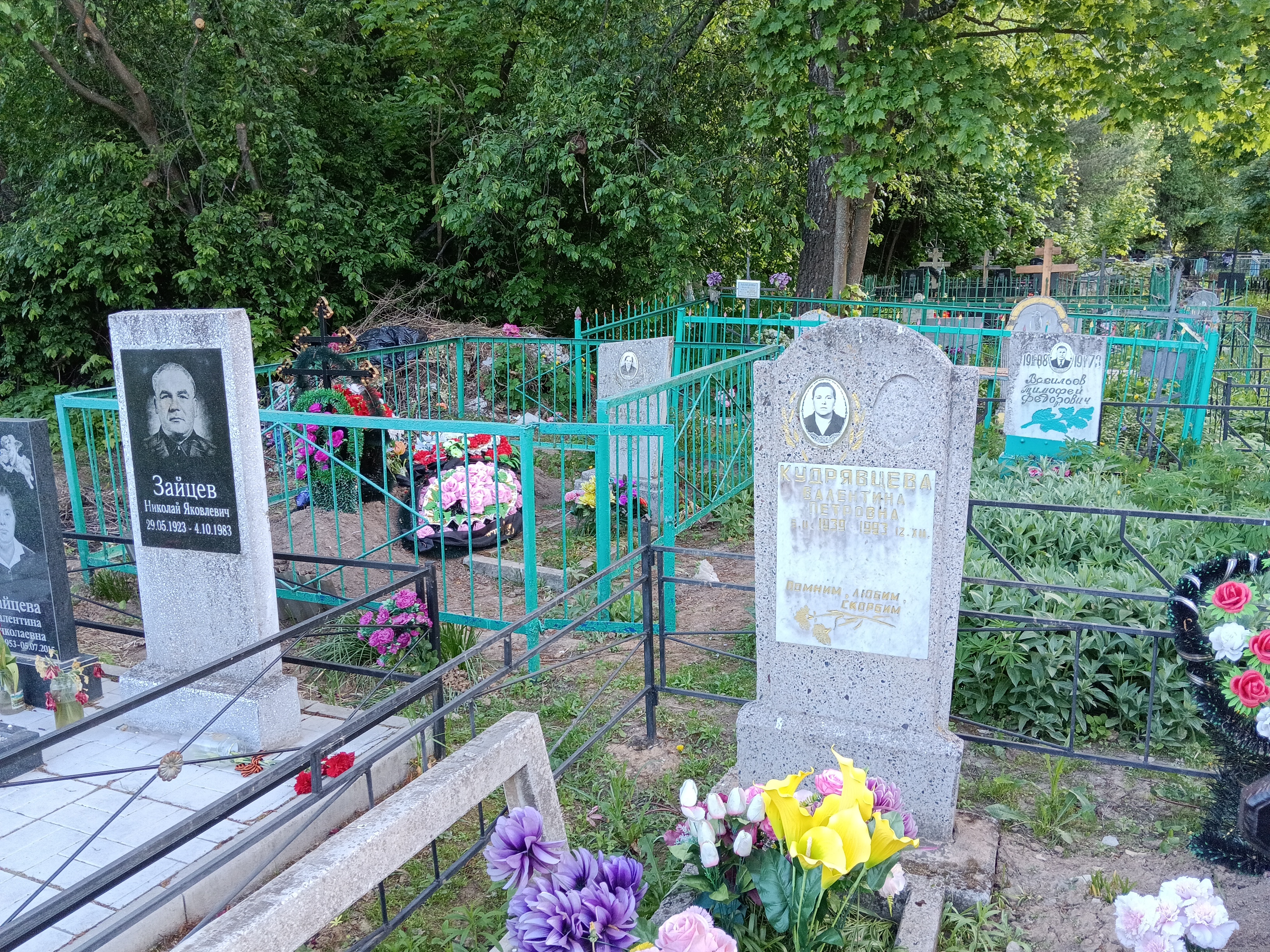 Васильев Тимофей Федорович