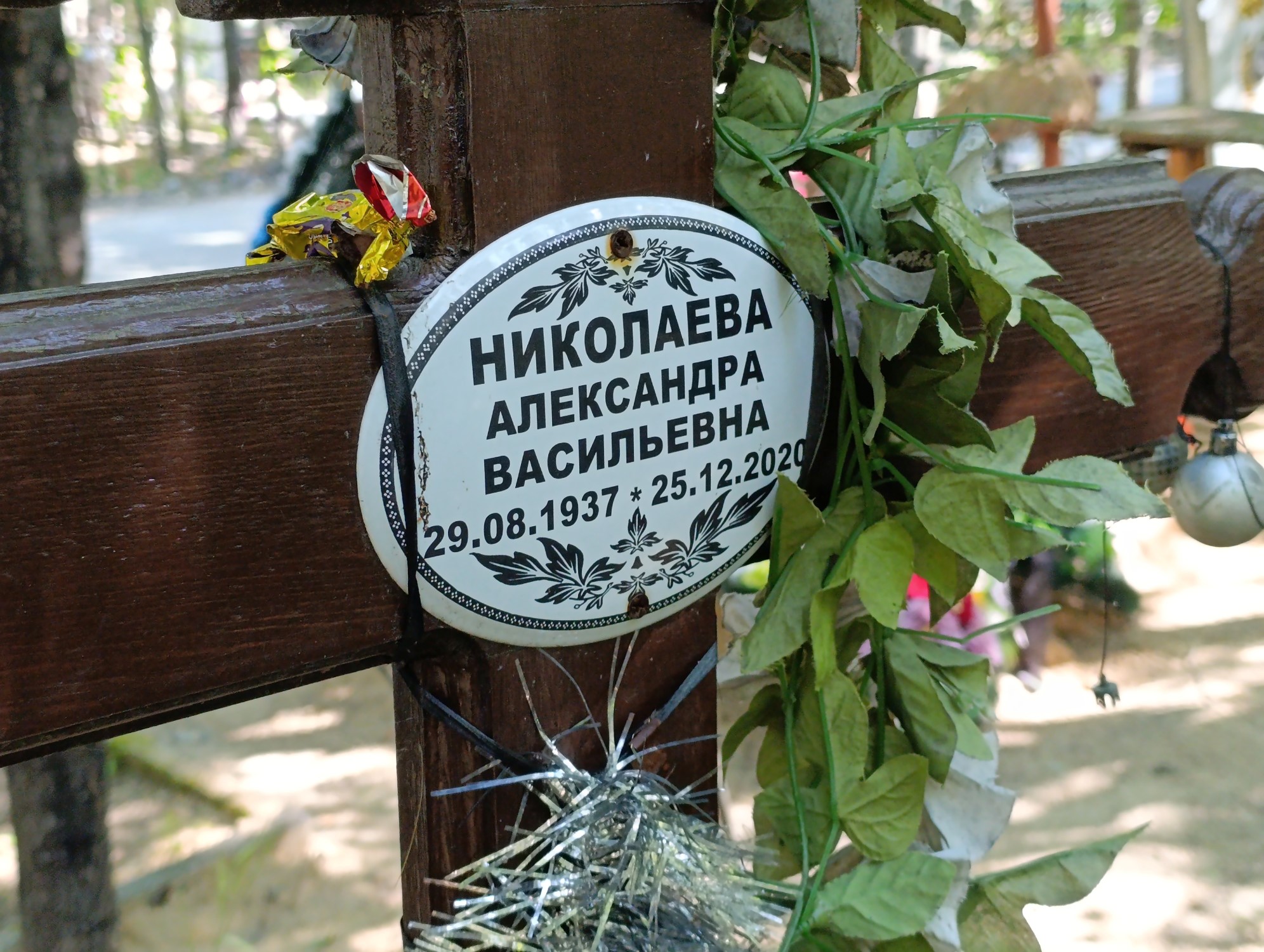Николаева Александра Васильевна