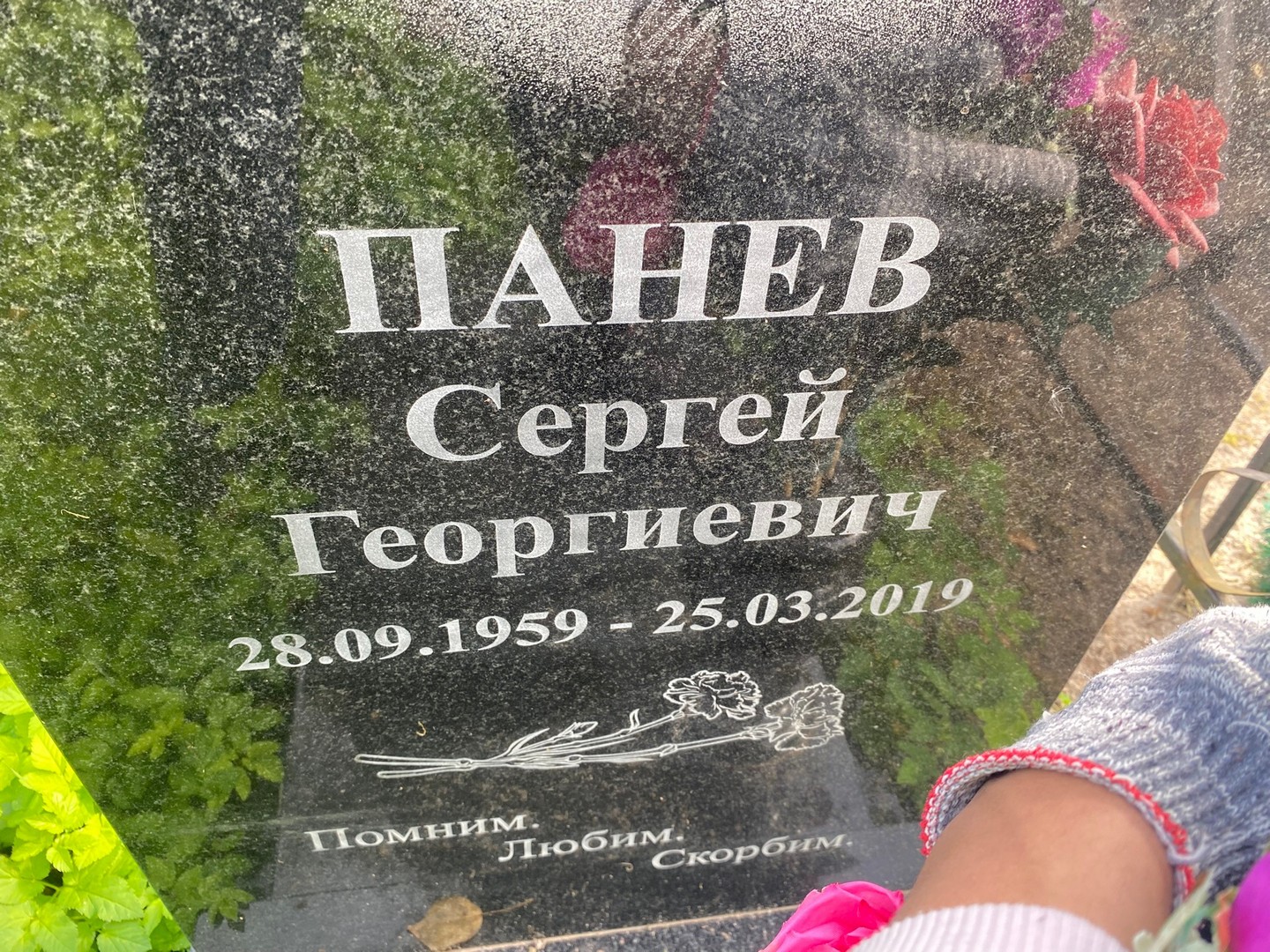 Панев