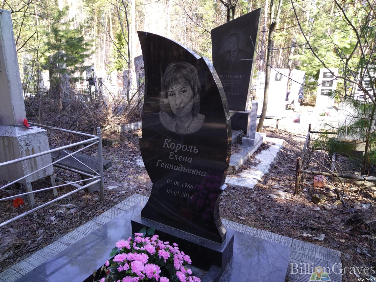 Король Елена Геннадьевна