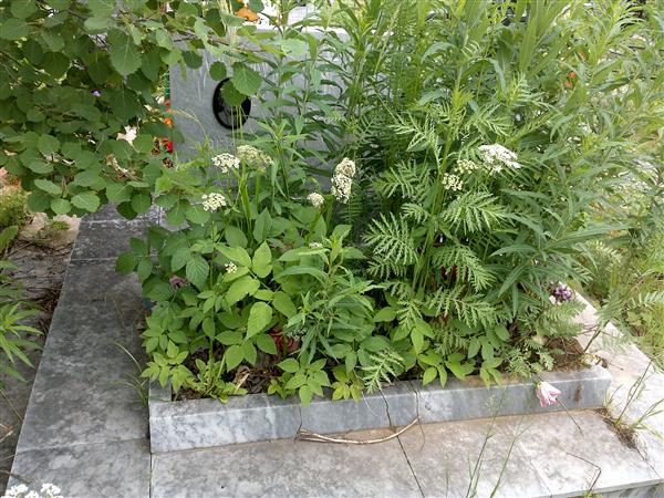 Прокопьева Александра Михайловна