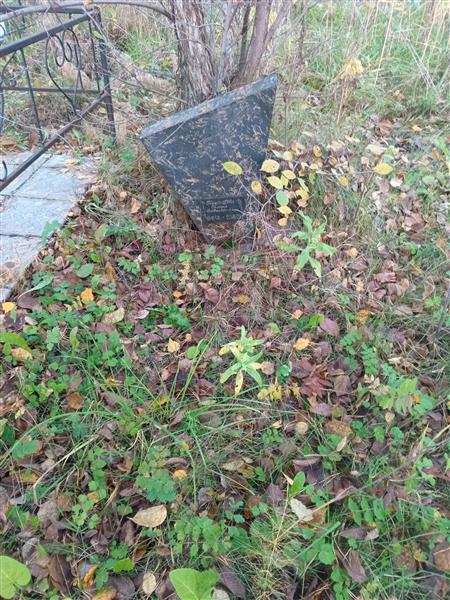 Городищева Галина Давыдовна