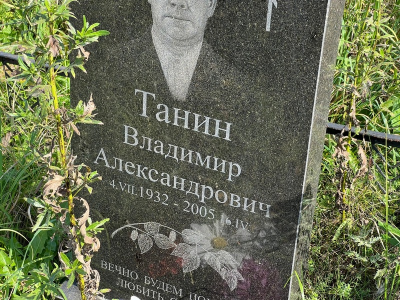 Танин