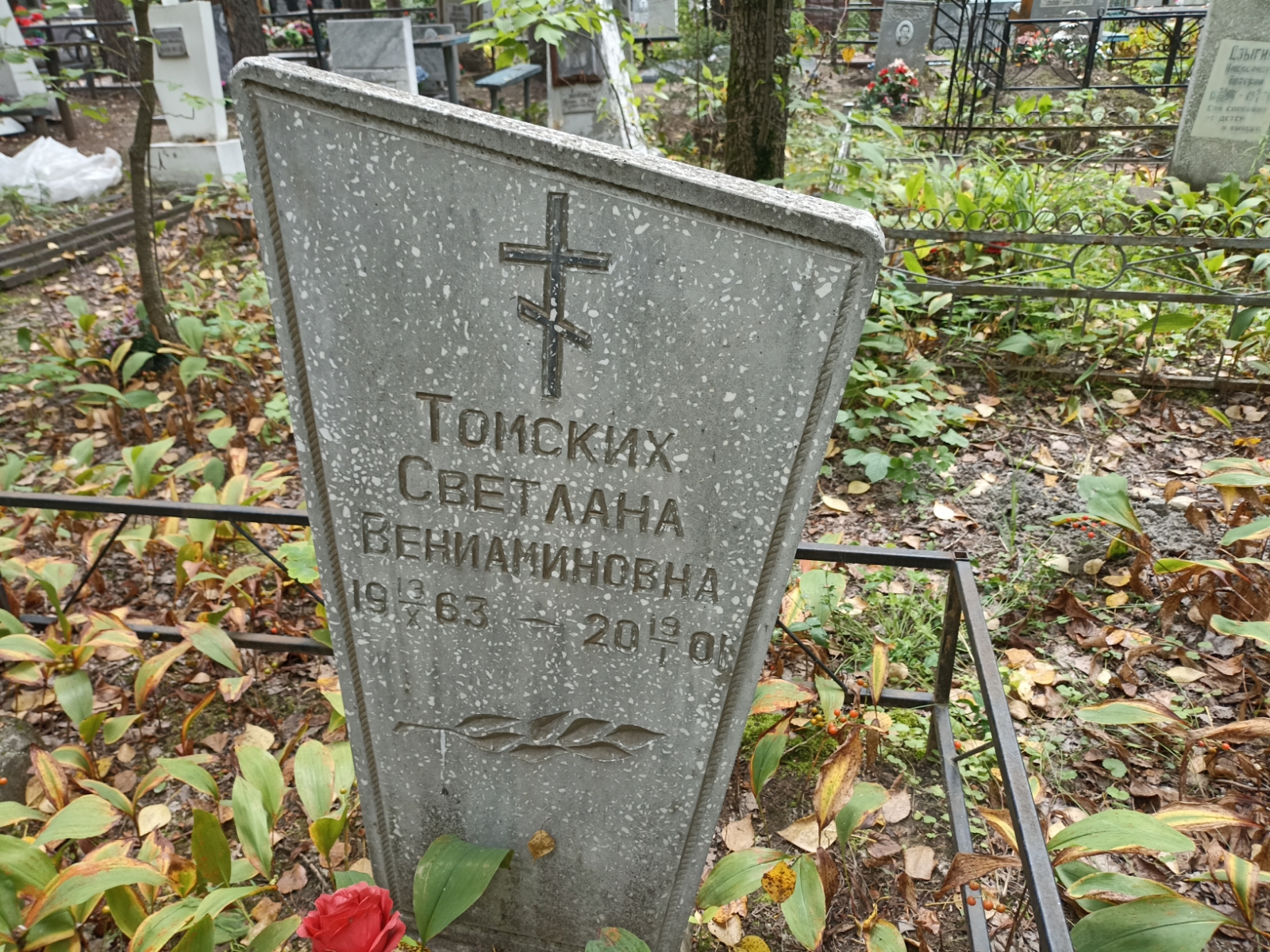 Томских Светлана Вениаминовна