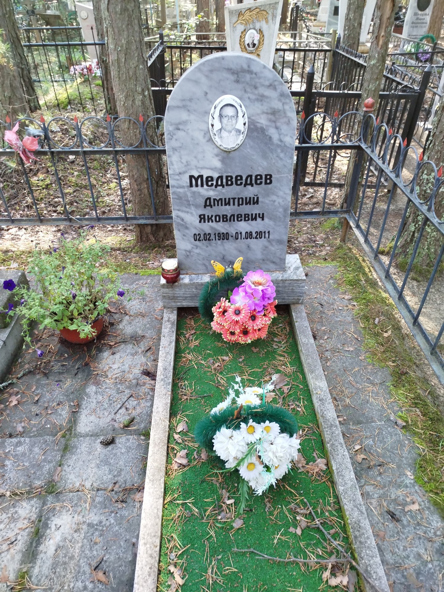 Медеведев Дмитрий Яковлевич