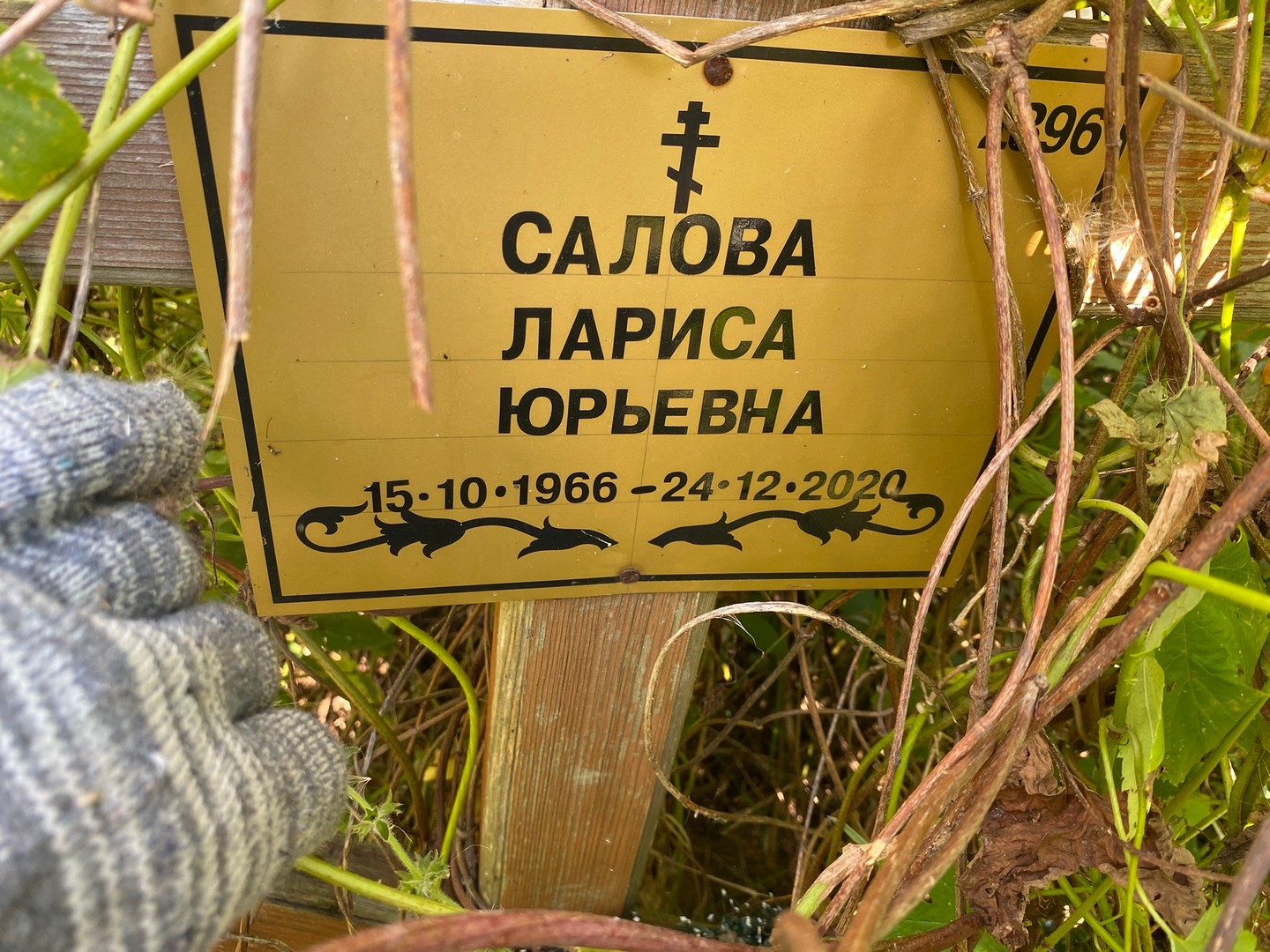 Салова