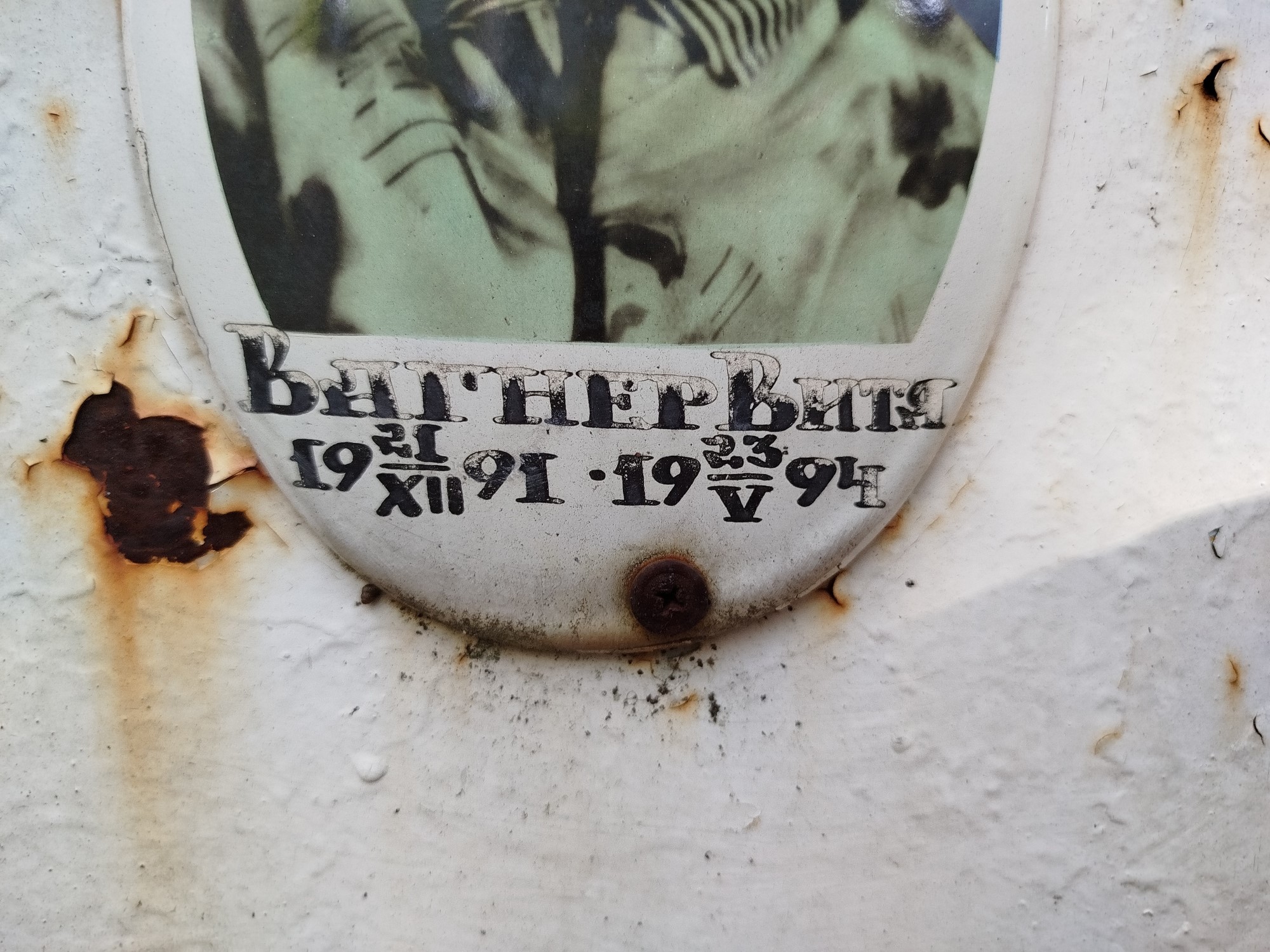 Вагнер Витя