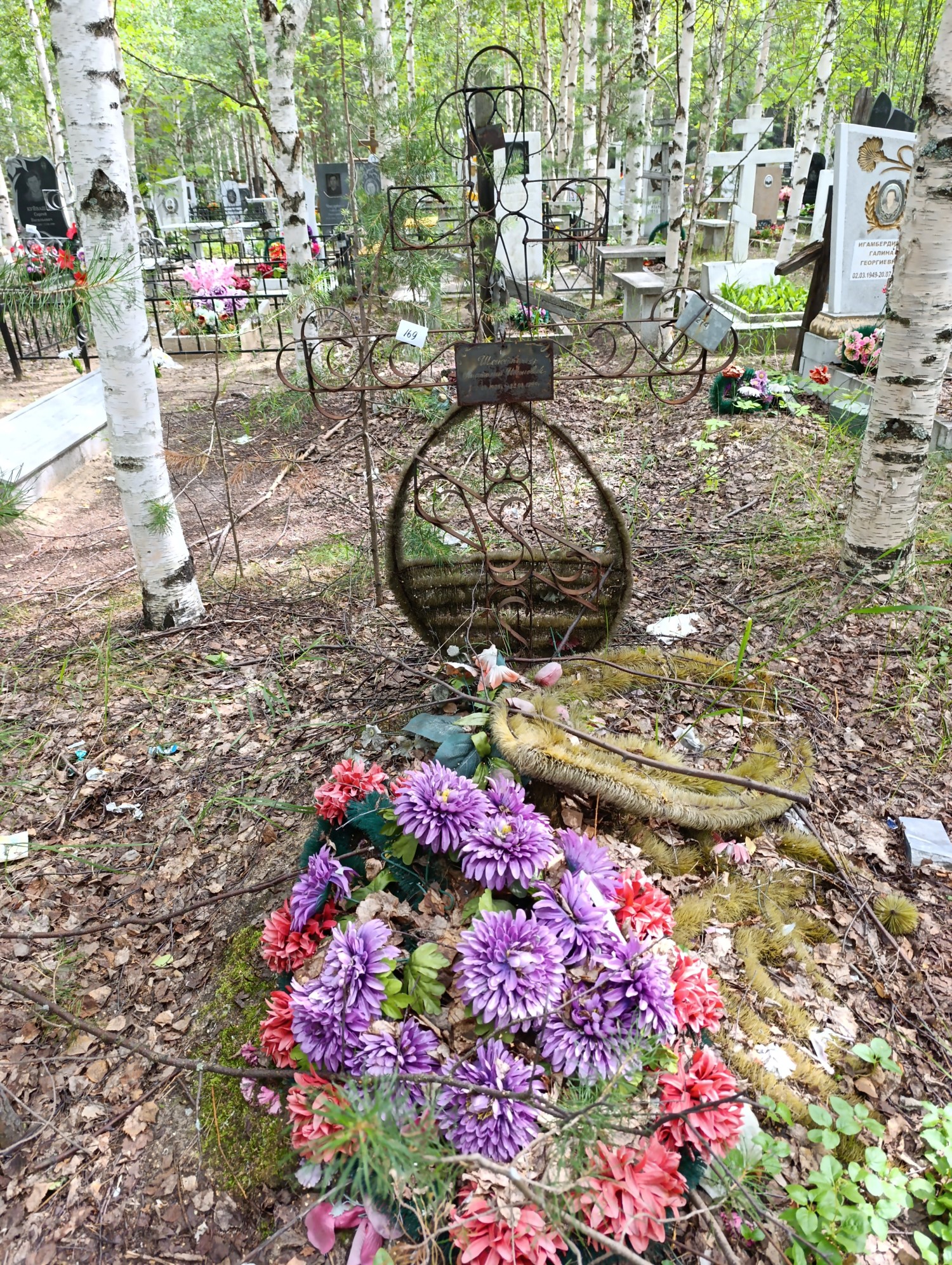 Шенеткин Анатолий Иванович