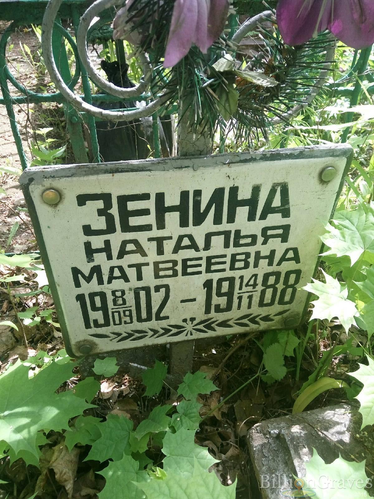 Зенина Наталья матвеевна