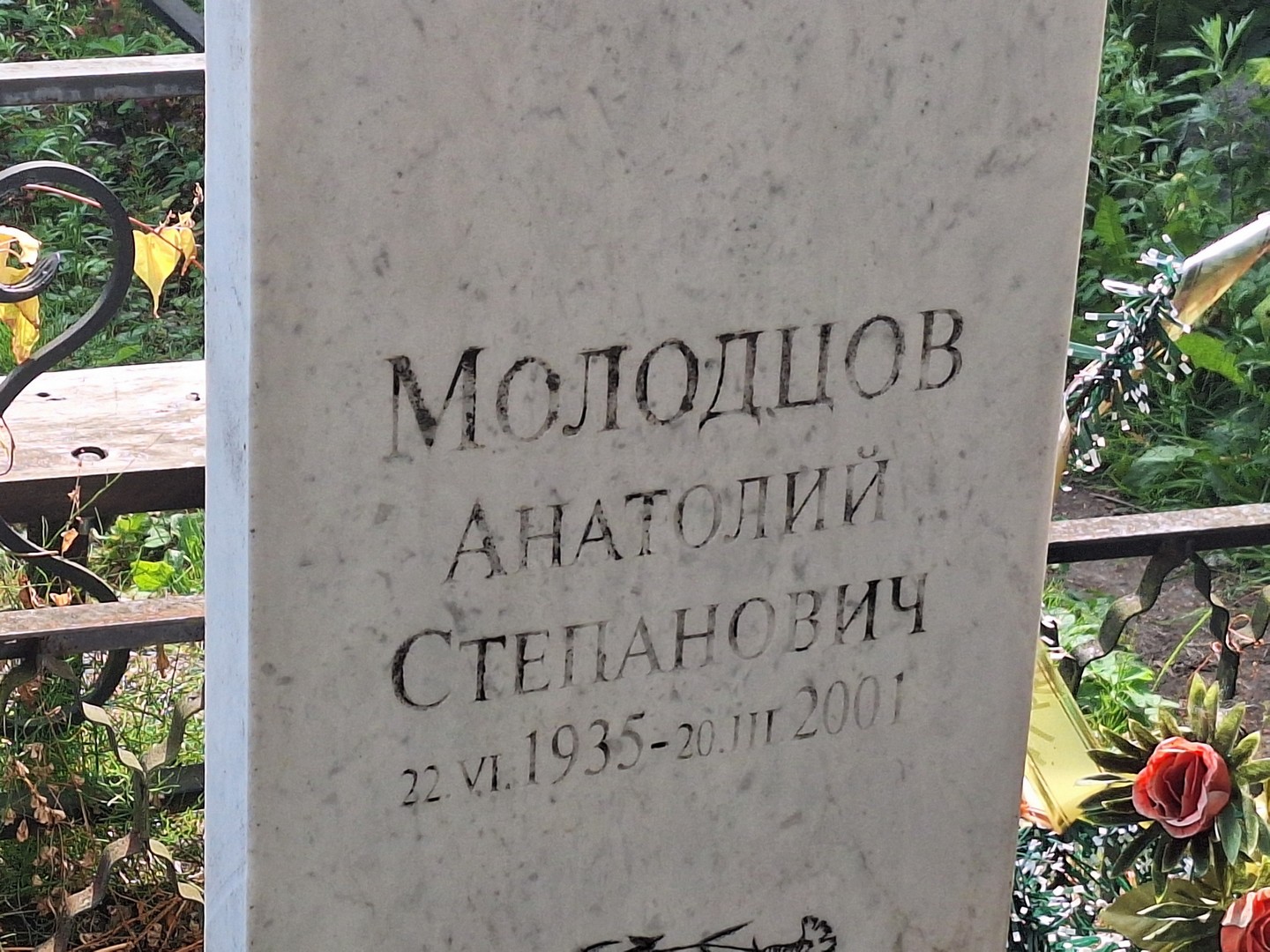 Молодцов