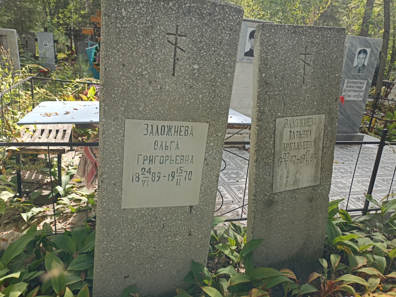 Заложнева Татьяна Аркадьевна