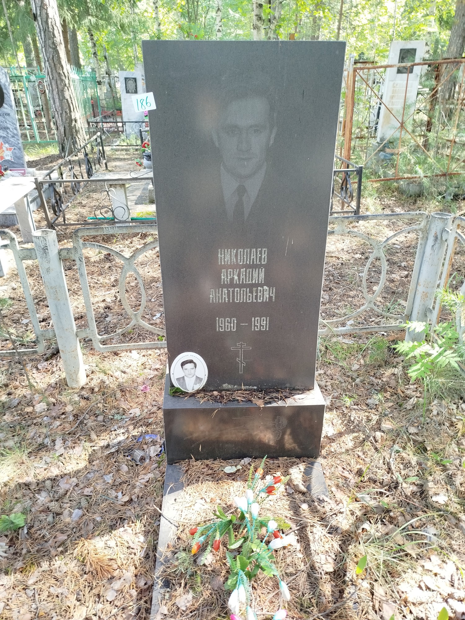 Николаев Аркадий Анатольевич