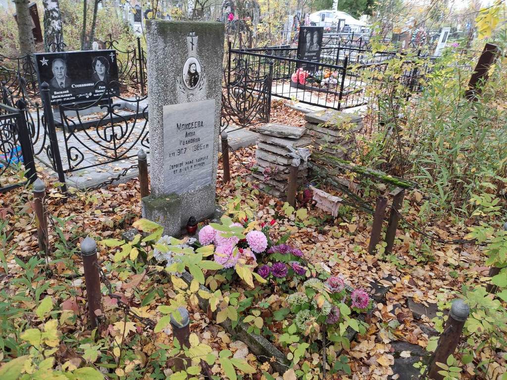 Моисеева Анна Ивановна