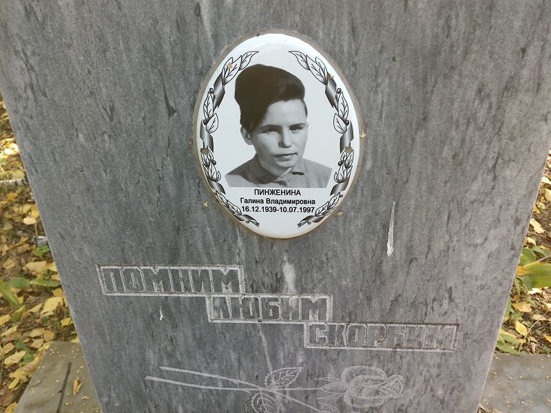 Пинженина