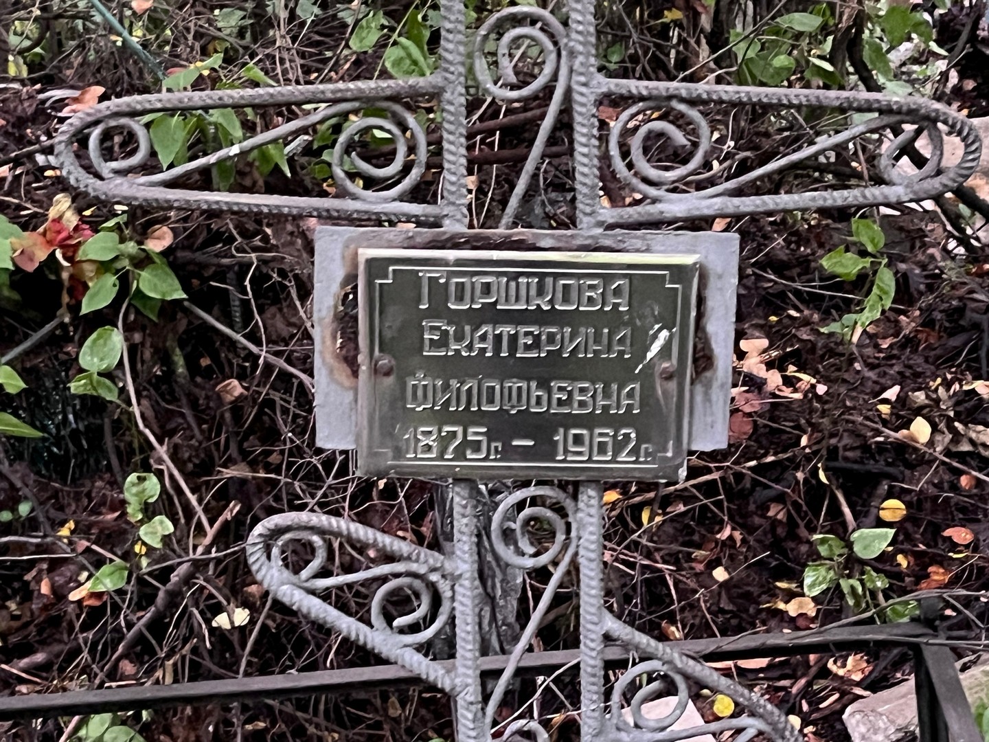 Горшкова