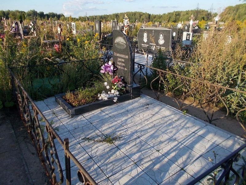 Селивановский Дмитрий Андреевич