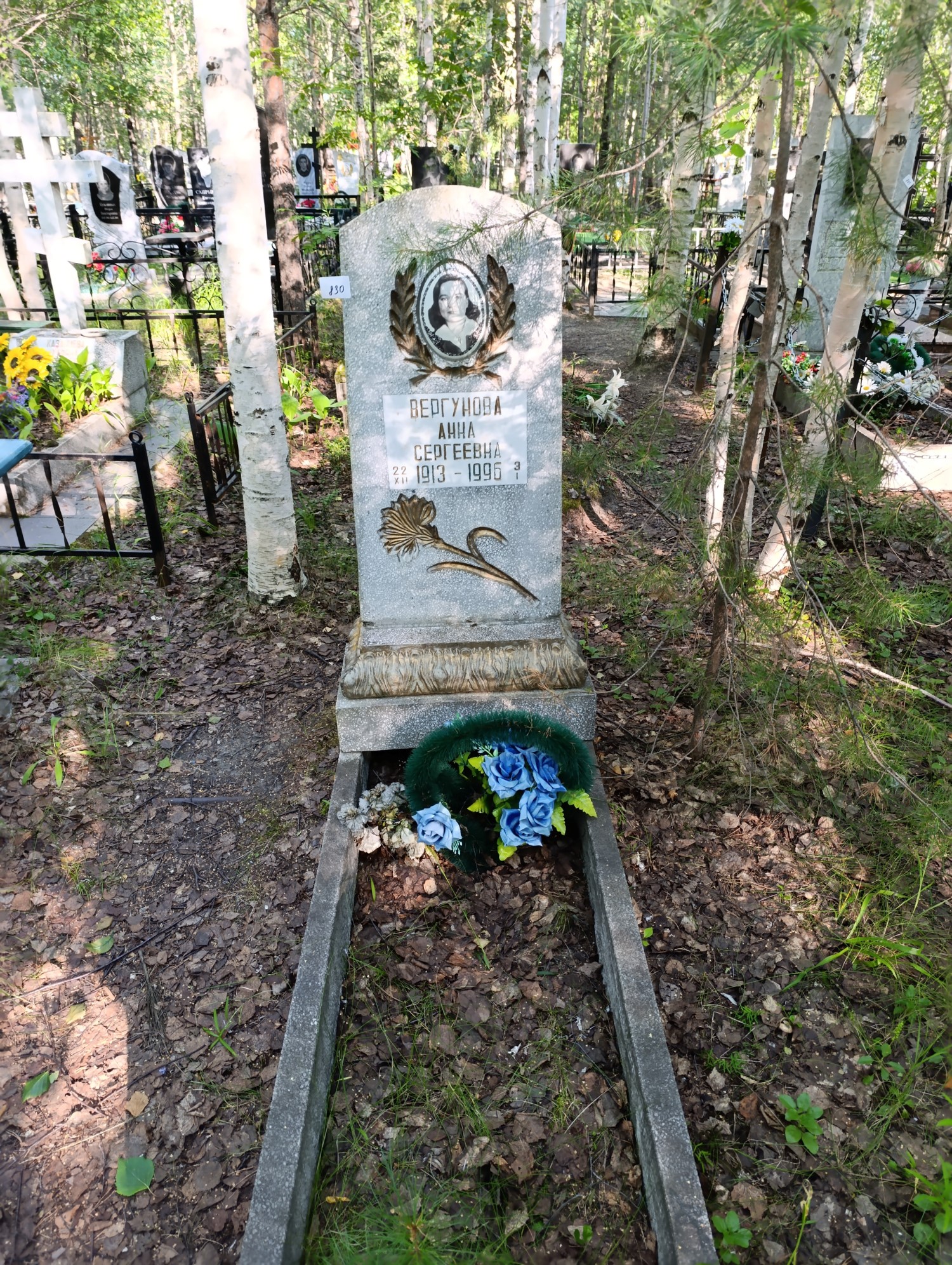 Вергунова Анна Сергеевна