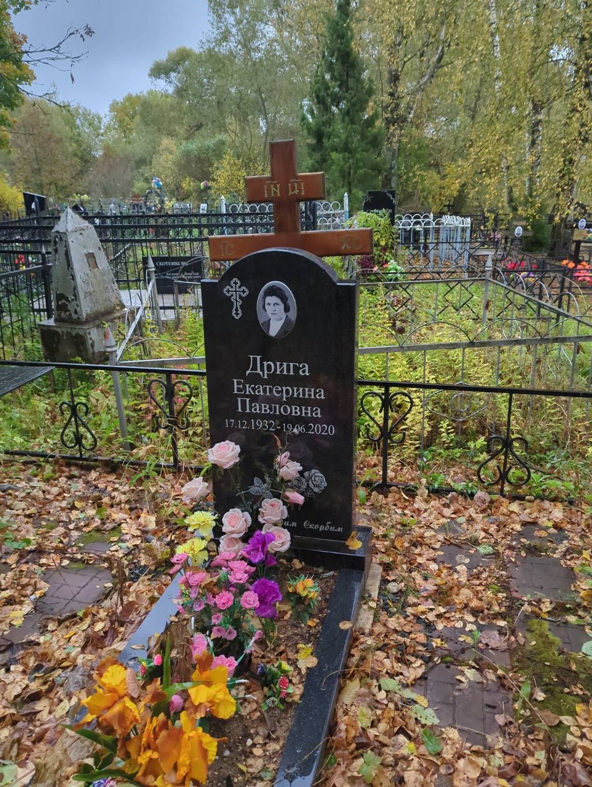 Дрига Екатерина Павловна