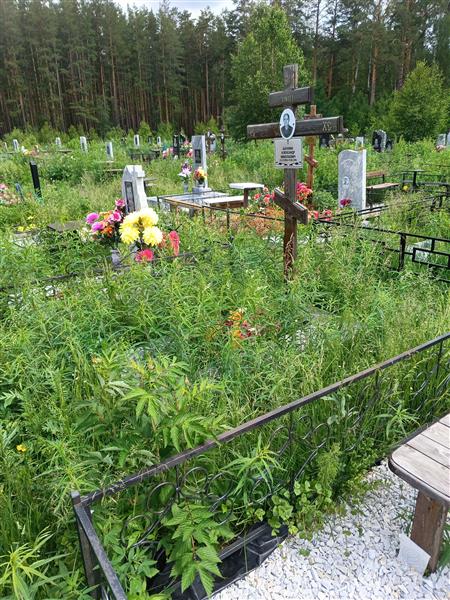Шахмин Александр Николаевич