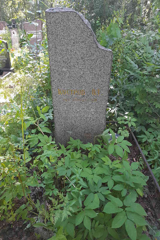 Кострова Н. Д.