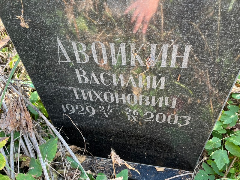 Двойкин